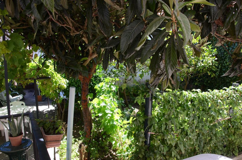 Morbey'S Chalet Apartment Sintra Bagian luar foto